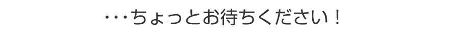 ・・・ちょっとお待ちください！