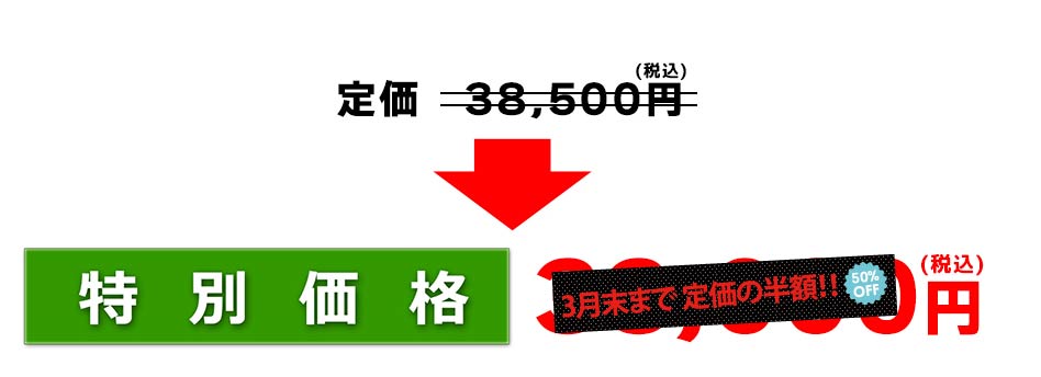 特別価格30,000円(税別)