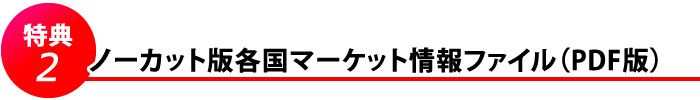 特典２　ノーカット版各国マーケット情報ファイル（PDF版）