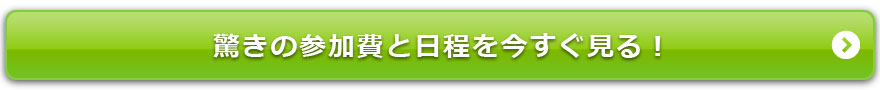 驚きの参加費と日程を今すぐ見る！
