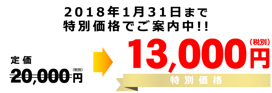 特別価格12000円