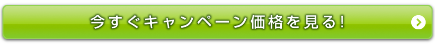 今すぐキャンペーン価格を見る！