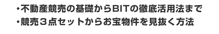 不動産競売の基礎からＢＩＴの徹底活用法、競売３点セットからお宝物件を見抜く方法