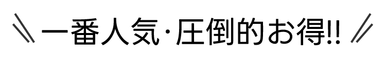 一番人気・圧倒的お得!!