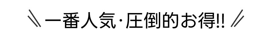 一番人気・圧倒的お得!!